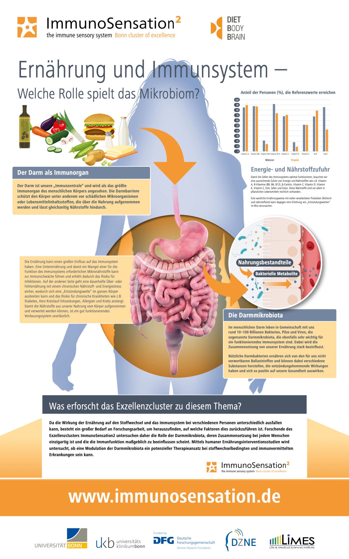 Ernährung_Rollup vom Tag der Immunologie 2023