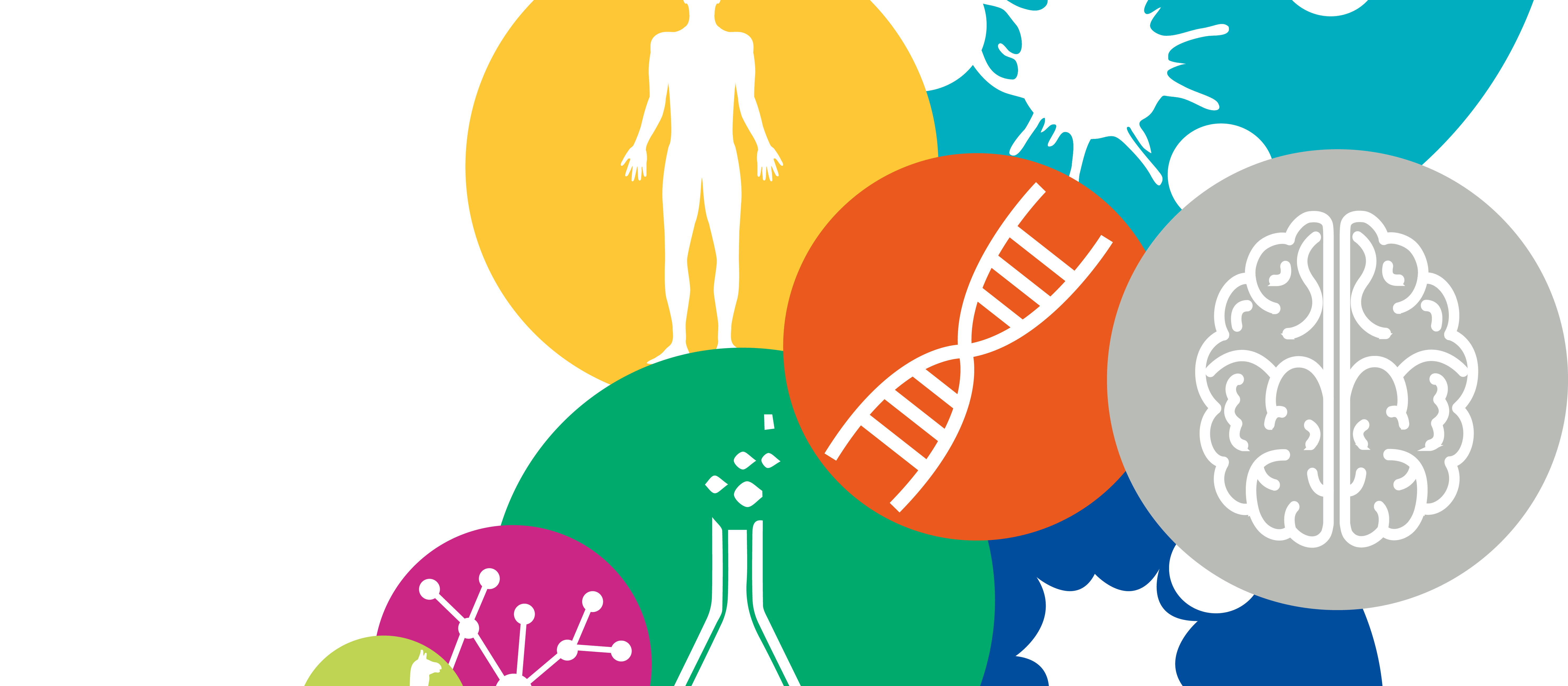 Logo der Veranstaltung Tag der Immunologie