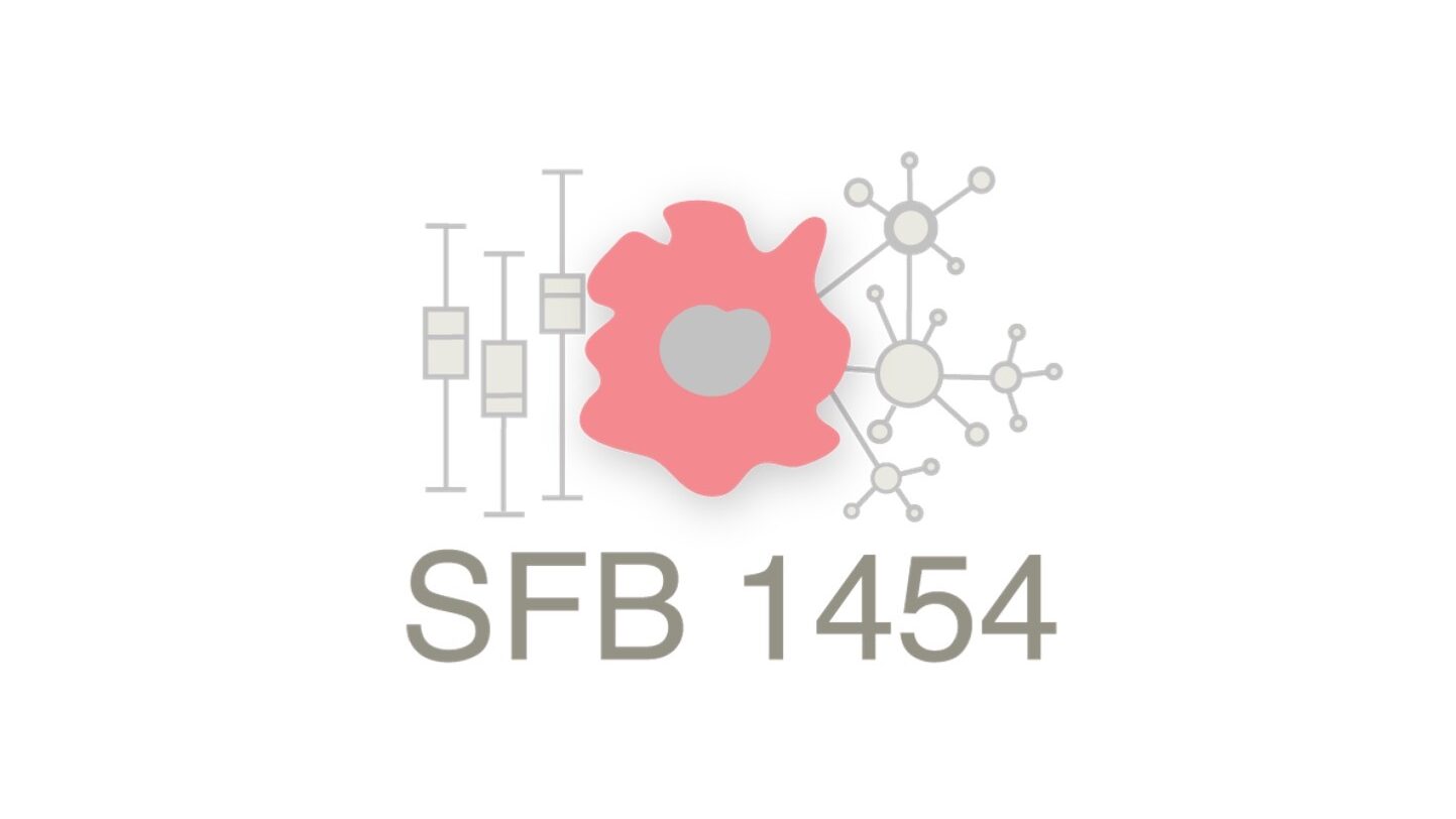 SFB_1454_web_logo