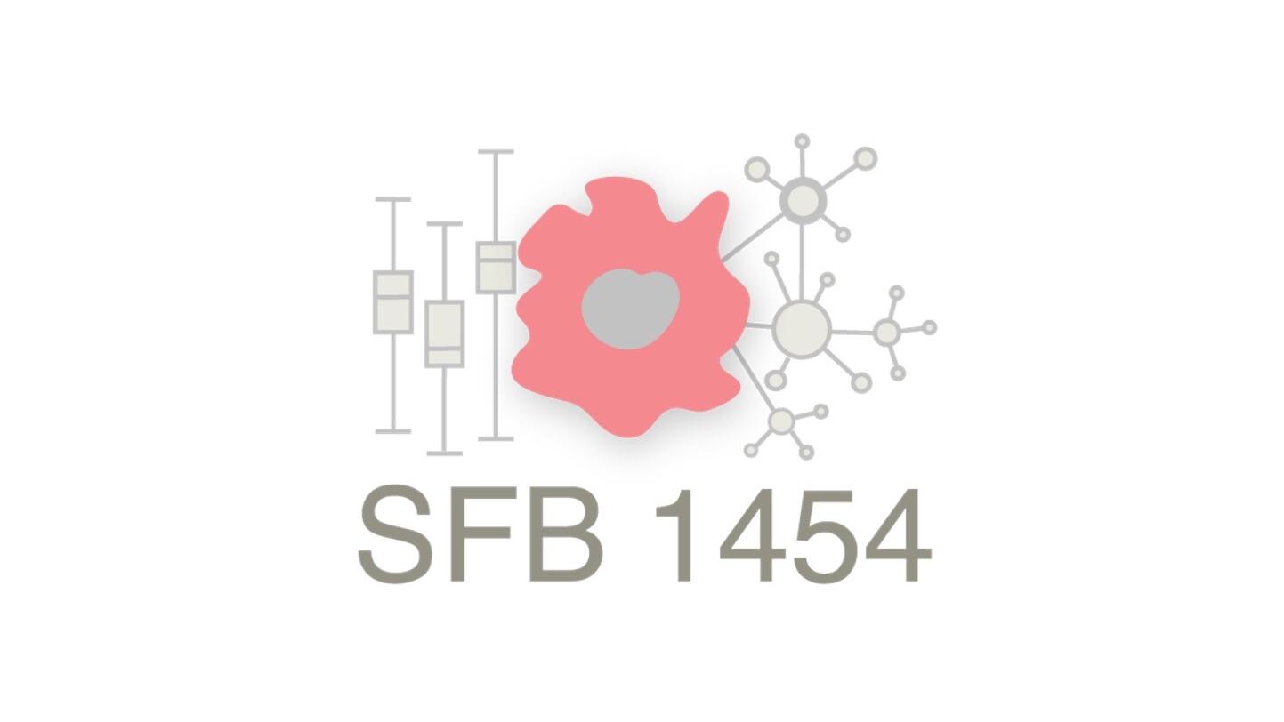 SFB_1454_web_logo