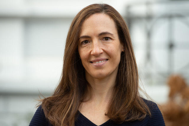 Carmen Ruiz de Almodovar