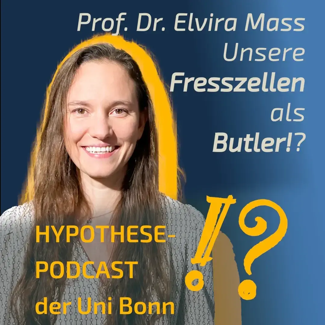 Cover Podcast "Die Hypothese", featuring Elvira Mass