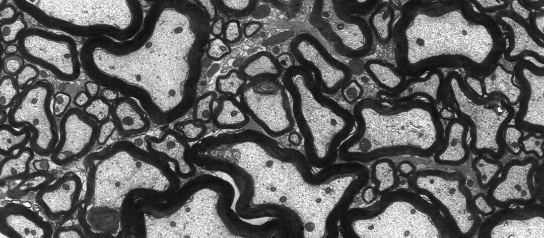 News Kürten 03.2022