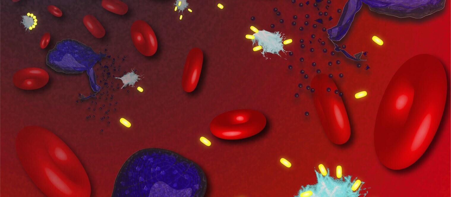 News Franklin 04.2022