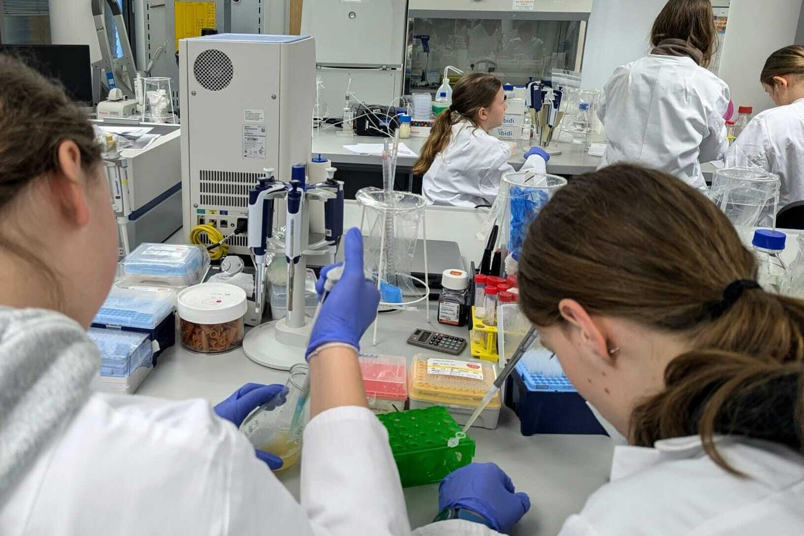 Girls Day enables students to experience biomedical research
