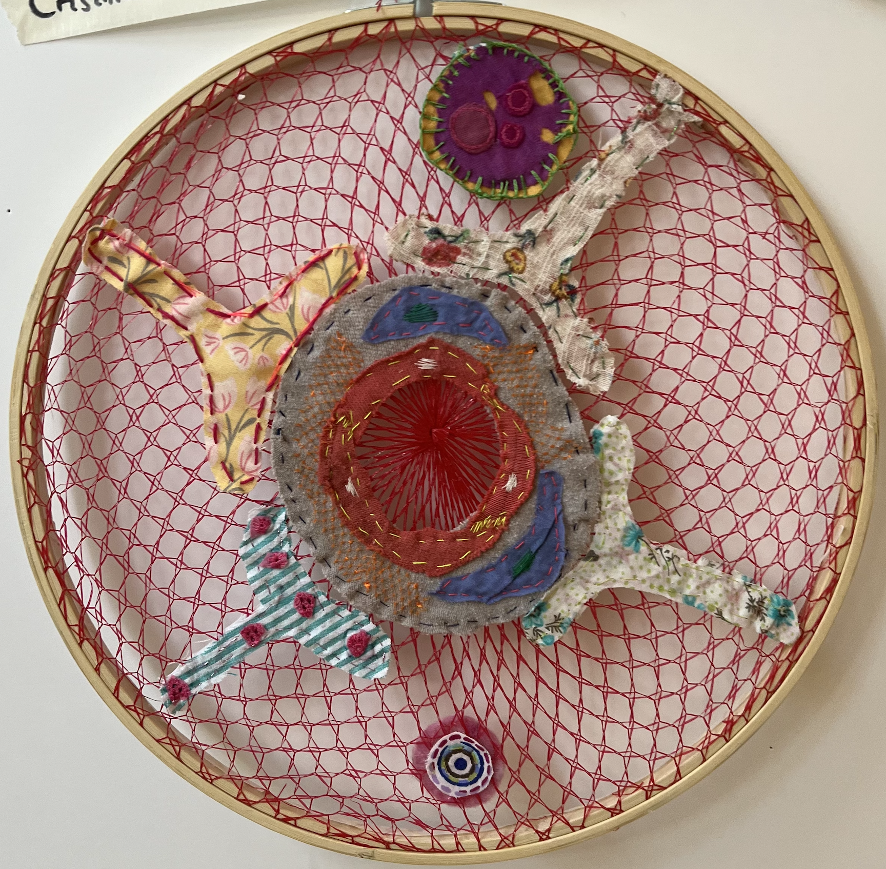 Mandala representation of the neurovascular unit