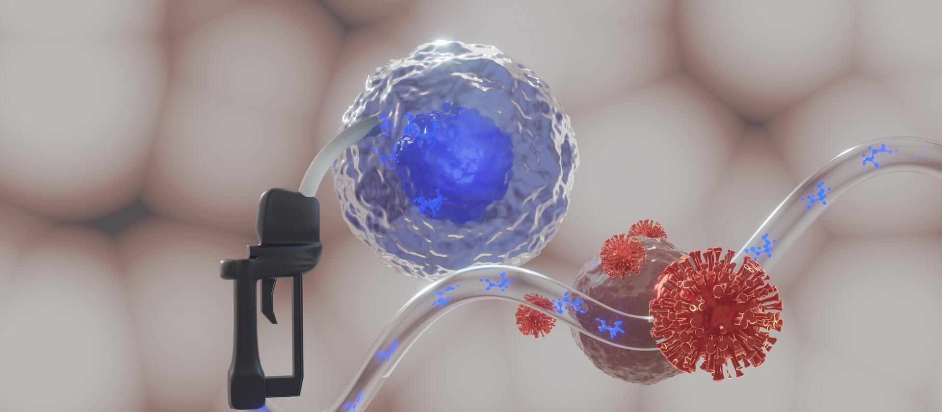 News Wilhelm 07.2022