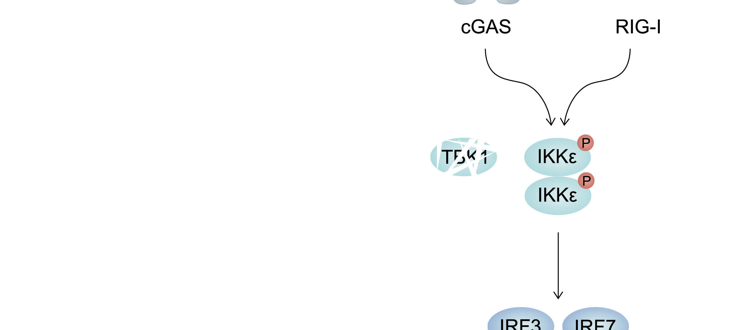 News_Schlee_03.2023_half