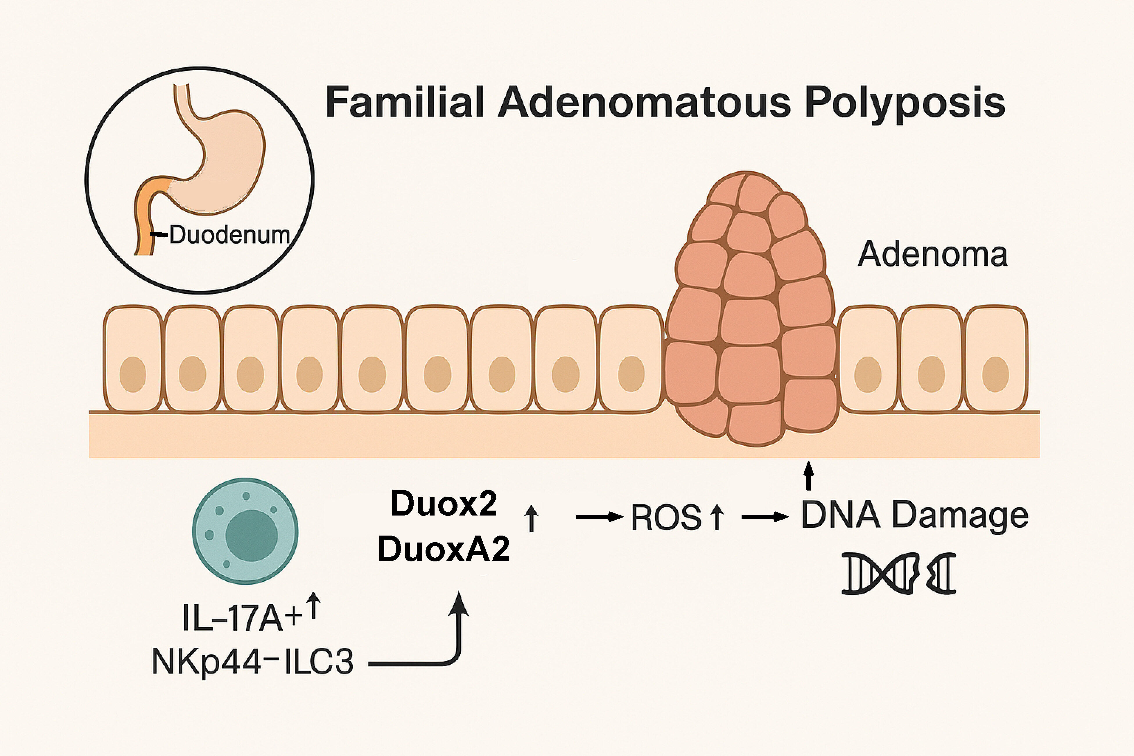 graphical abstract