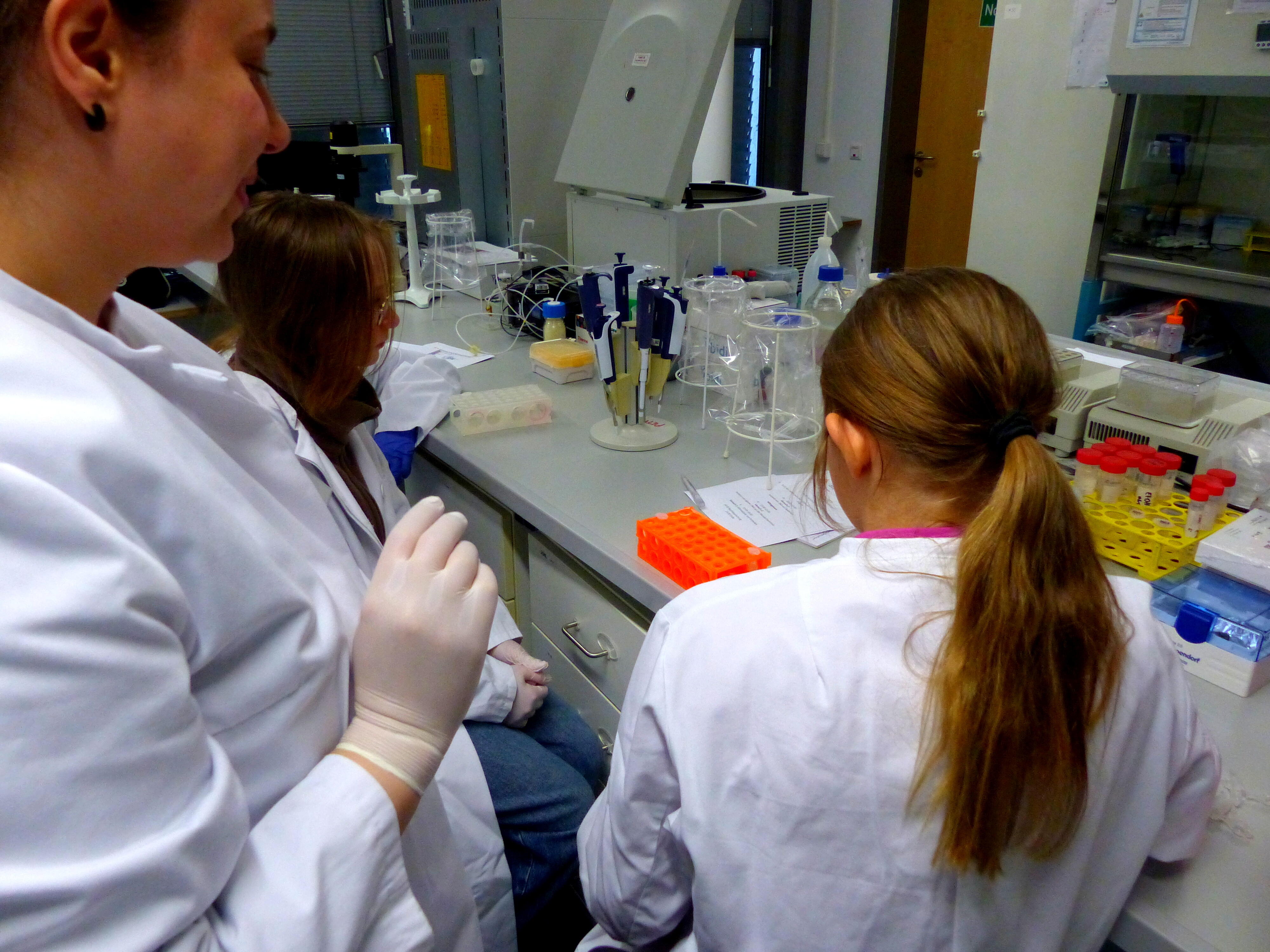 Two girls working in the lab