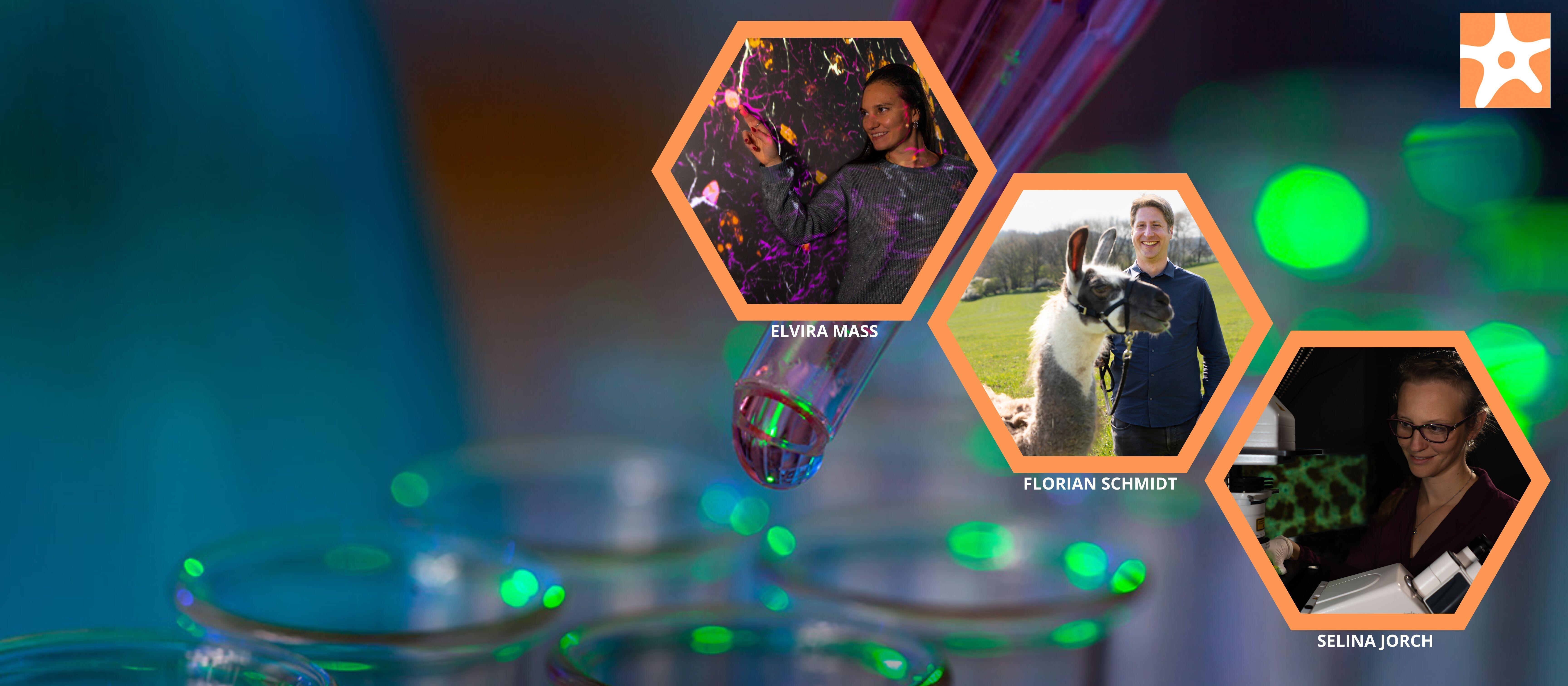 04_News_Beyond_the_Boundaries