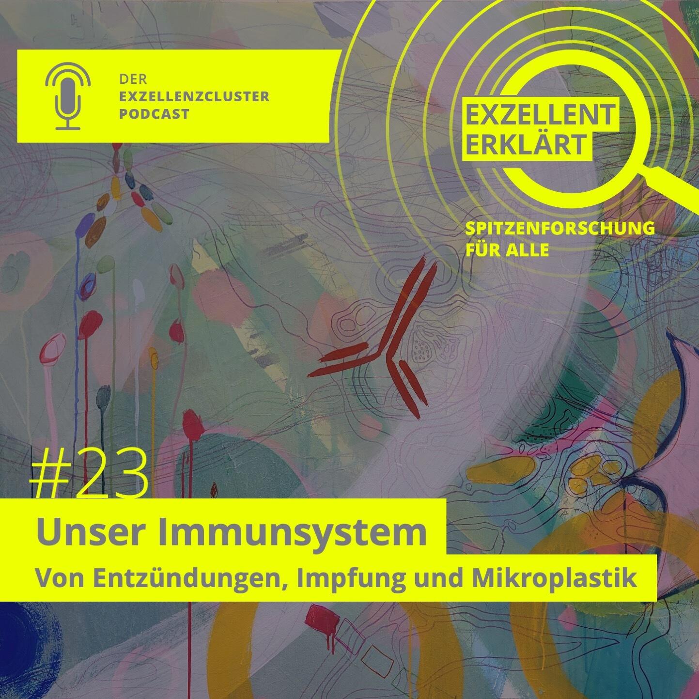 Exzellent Erklärt Podcast