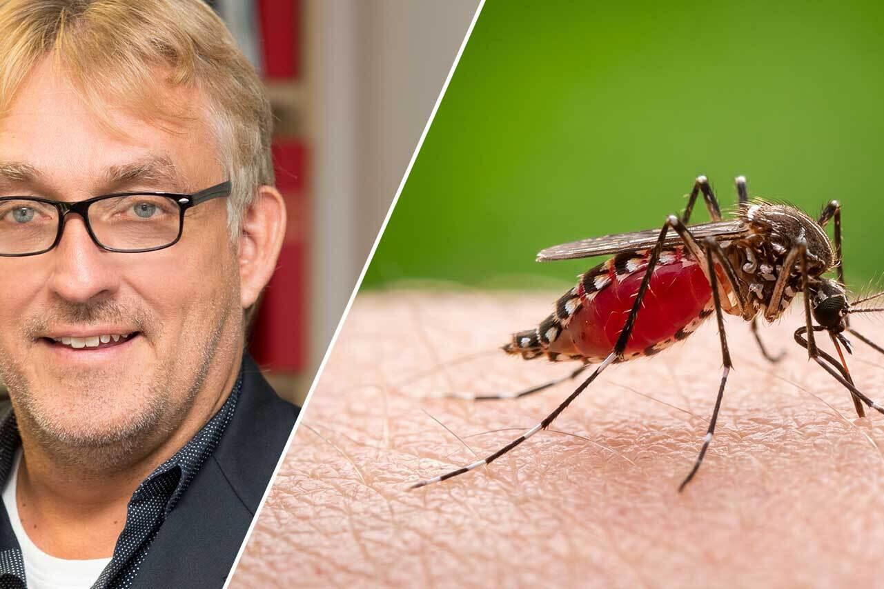Image 1:
Malaria is not transmitted directly from person to person. Infection requires the bite of a female Anopheles mosquito carrying the malaria parasite.

Image 2:
Prof. Dr. Achim Hörauf, Director of the Institute of Medical Microbiology, Immunology and Parasitology at Bonn University Hospital (UKB), is an established expert in tropical diseases, among other fields.