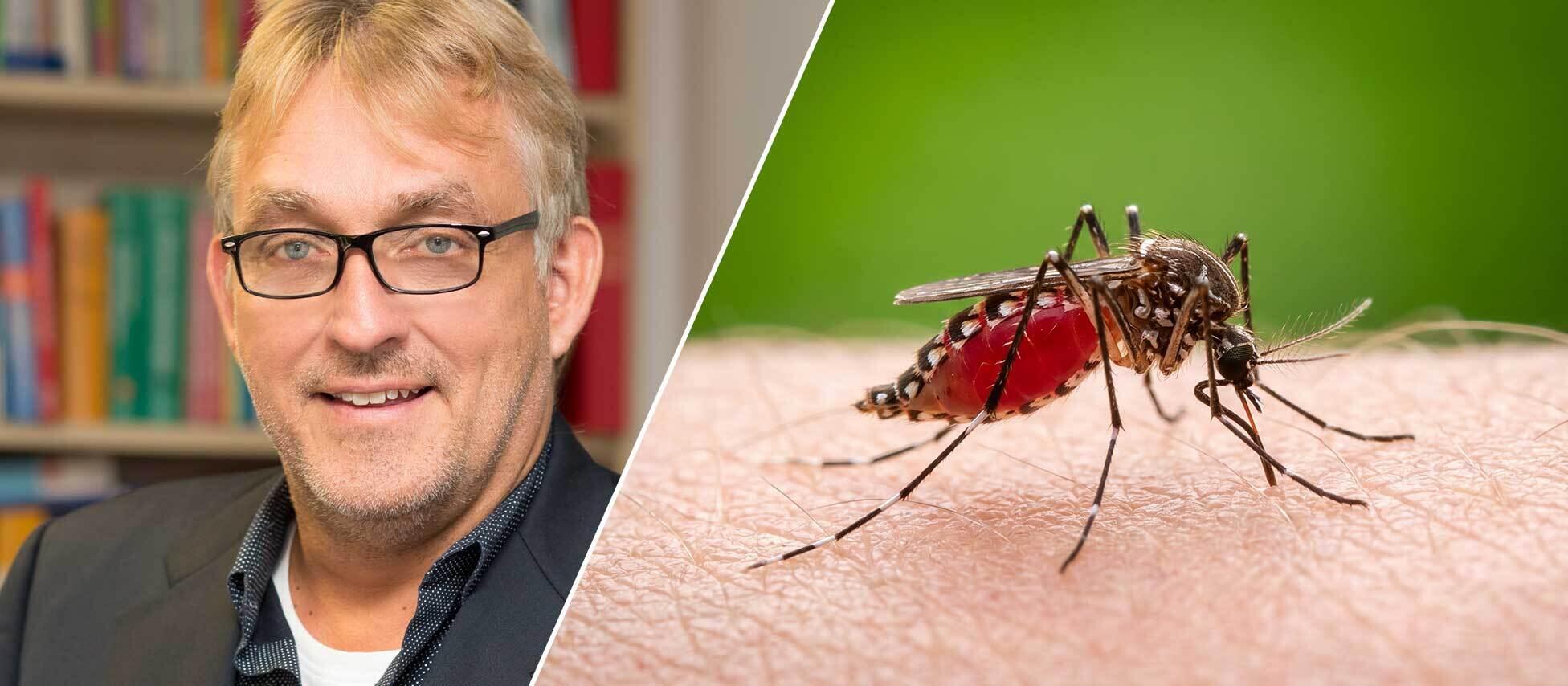 Image 1:
Malaria is not transmitted directly from person to person. Infection requires the bite of a female Anopheles mosquito carrying the malaria parasite.

Image 2:
Prof. Dr. Achim Hörauf, Director of the Institute of Medical Microbiology, Immunology and Parasitology at Bonn University Hospital (UKB), is an established expert in tropical diseases, among other fields.