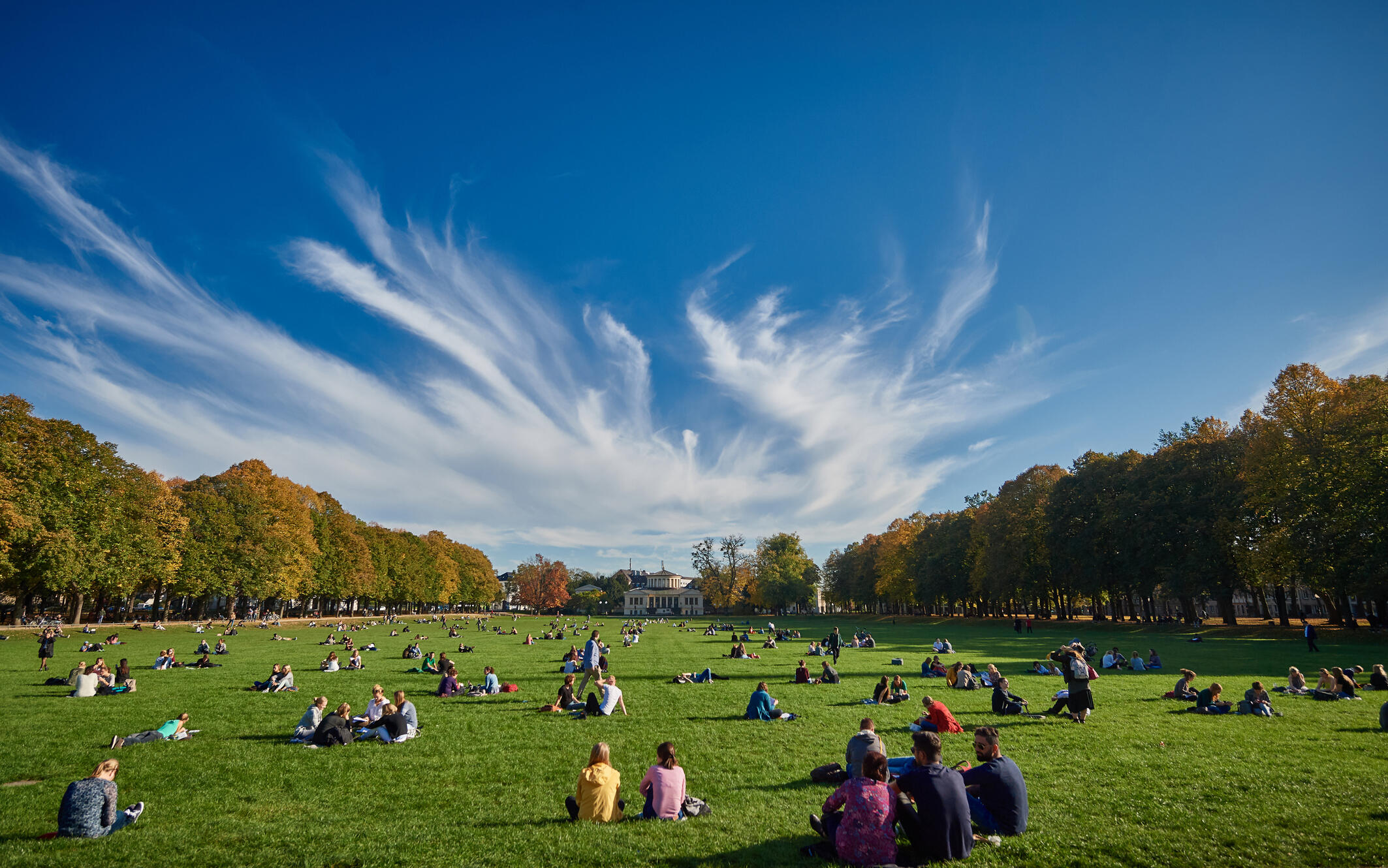 Students sitting at Hofgarten Park in Bonn