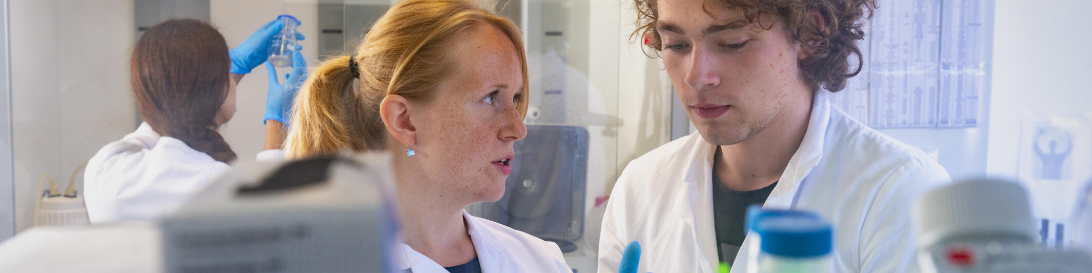 Scientists working in the lab