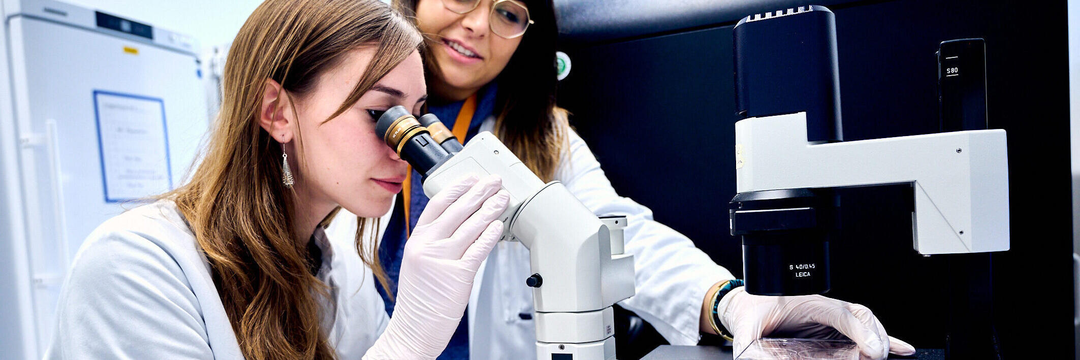 Scientists on microscope