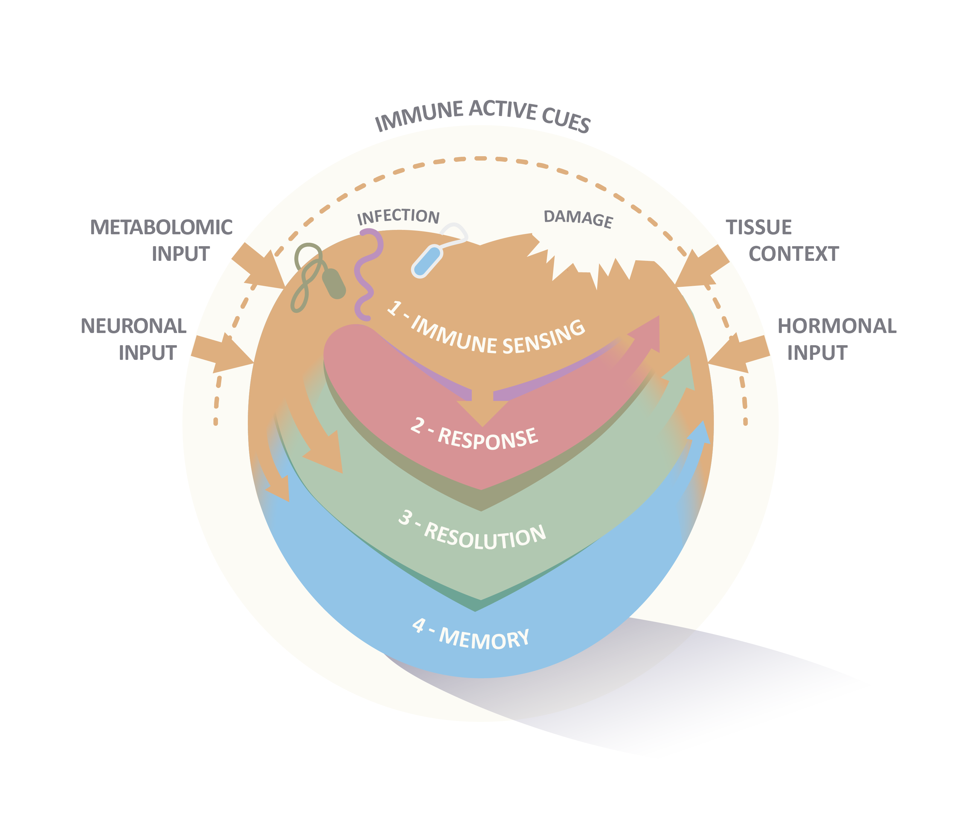 Research Overview Graphics
