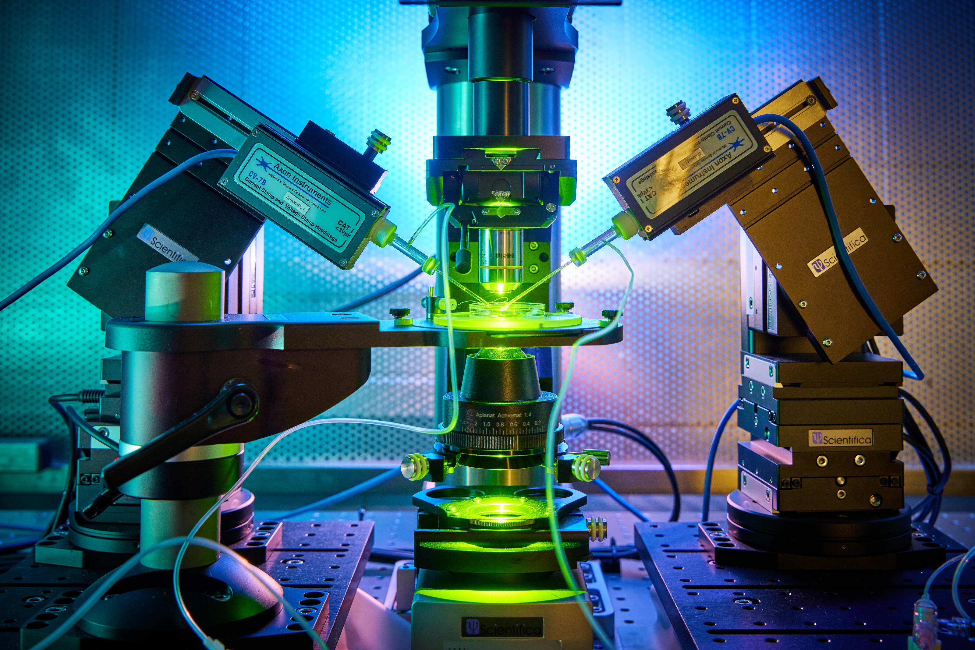 Microscope in bright colours