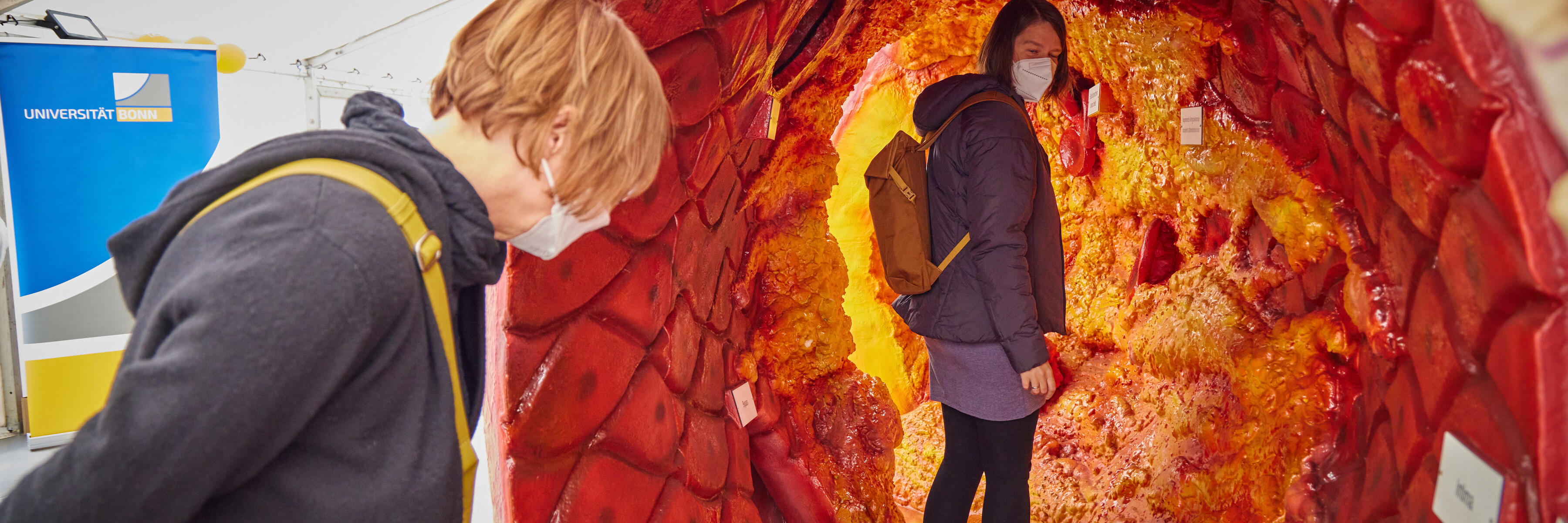 Giant artery inspected by two people