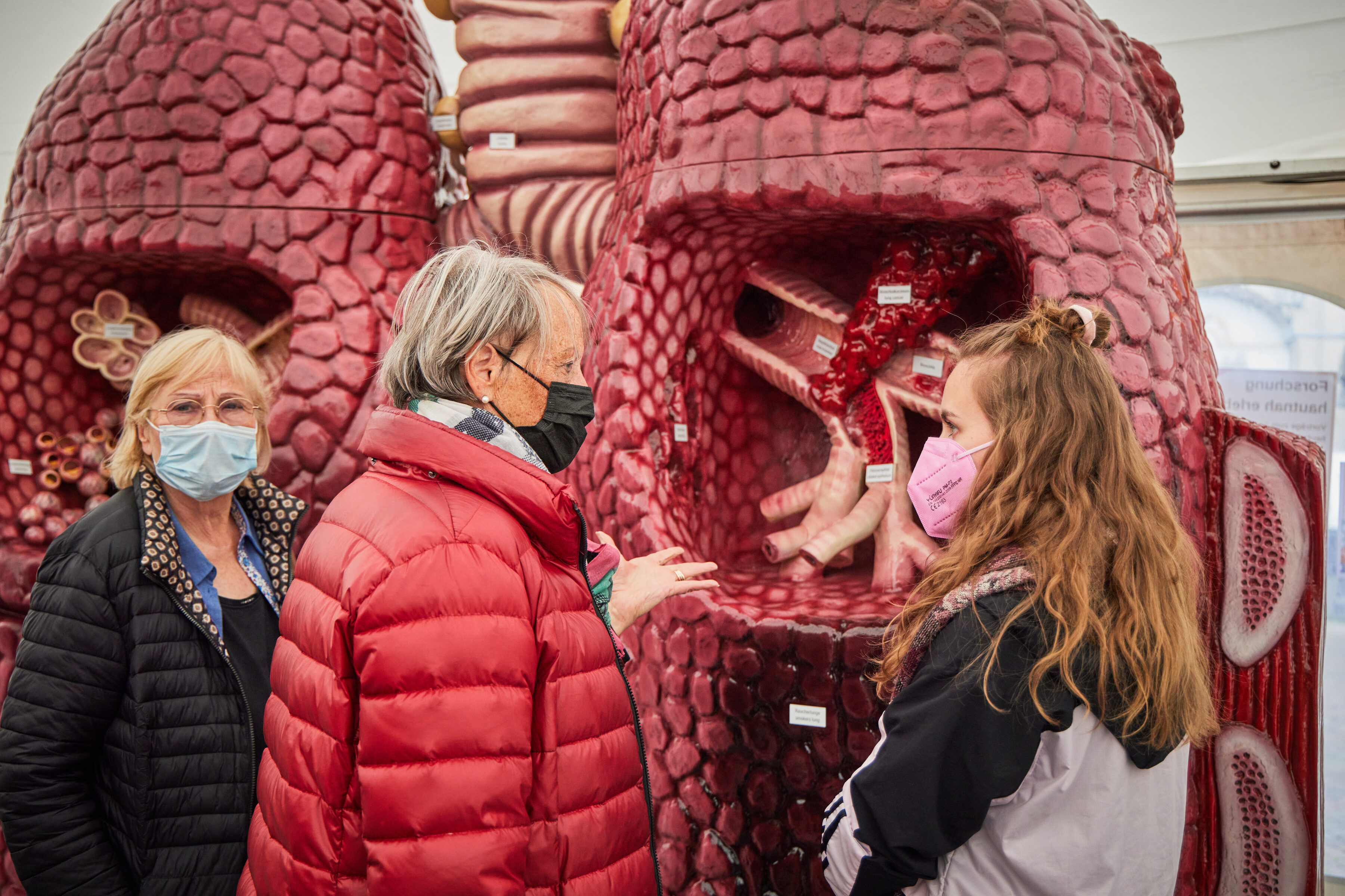 giant lung model