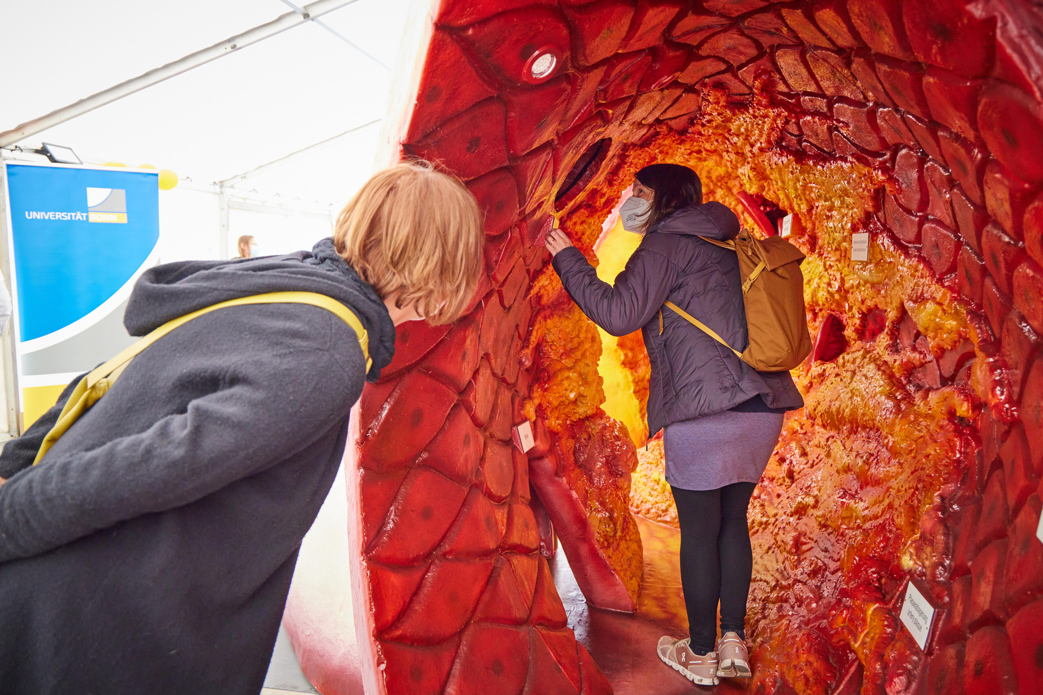 Day of Immunology 2022 - Guests inspecting a walk-in artery model