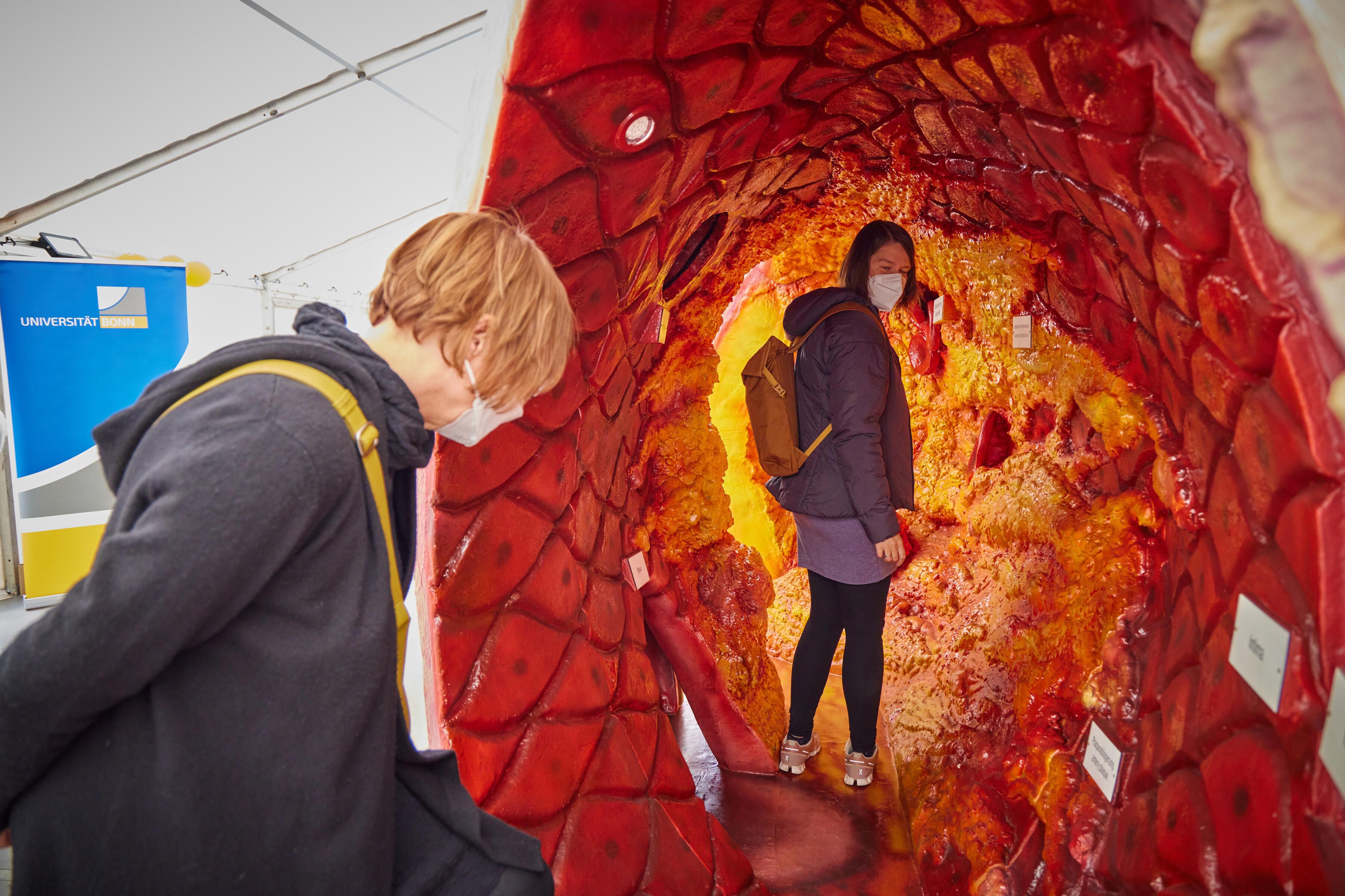 Giant artery inspected by two people