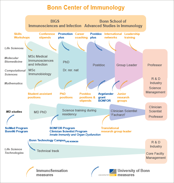 Chart on Career Development