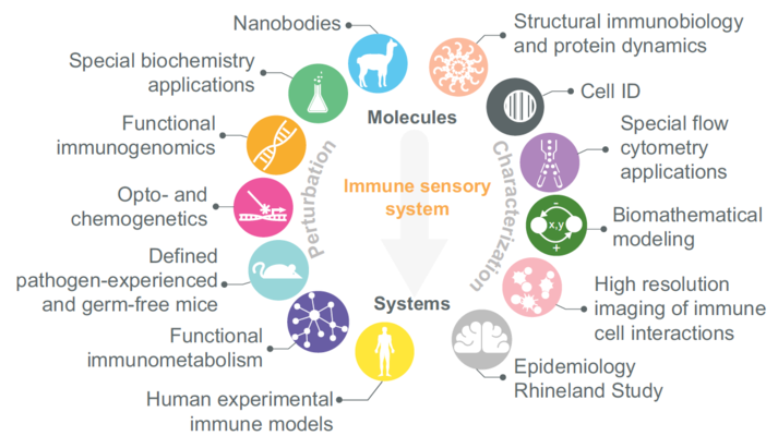 Cooperative approach graphics