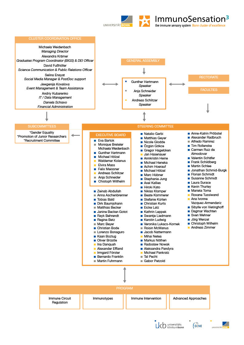 Governance organigram